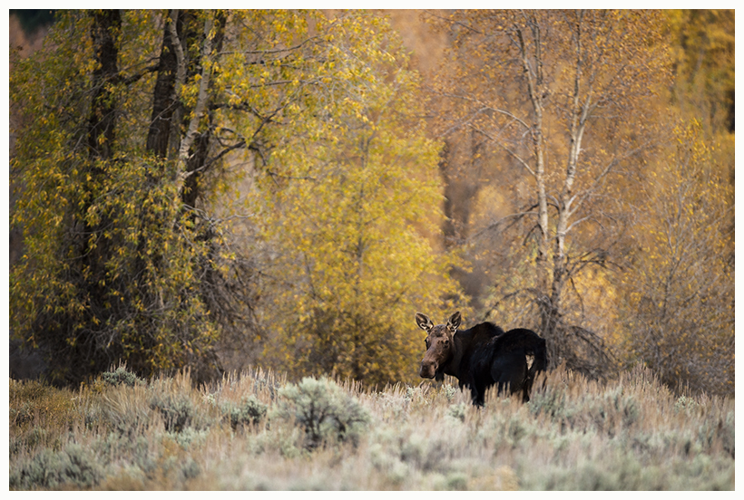 10_20161006-180555_1.jpg 10_20161006-180555_1.jpg