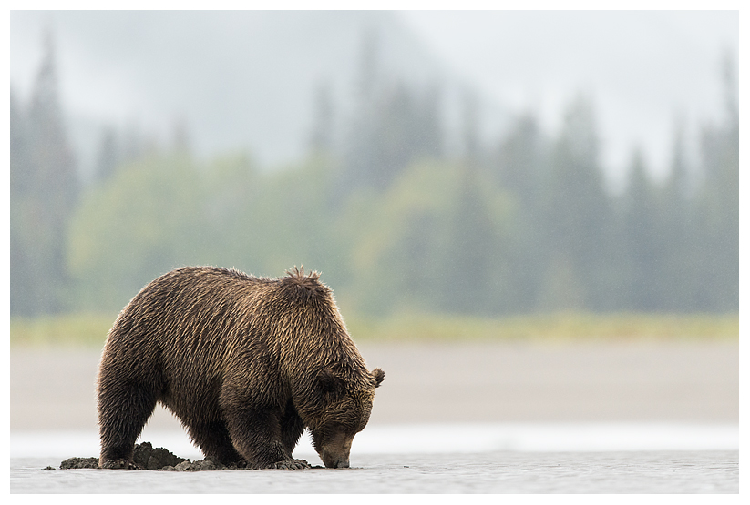 11_20140918-181430_1.jpg 11_20140918-181430_1.jpg