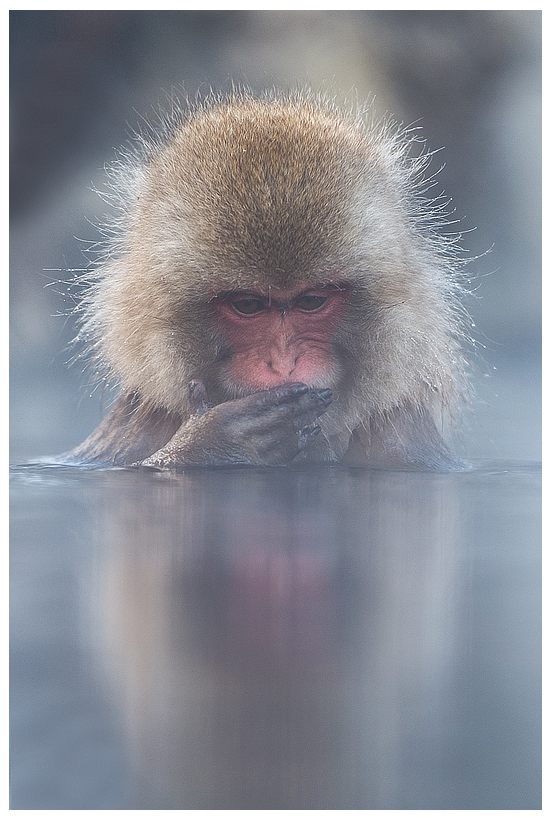 11_20150222-204303_1.jpg 11_20150222-204303_1.jpg