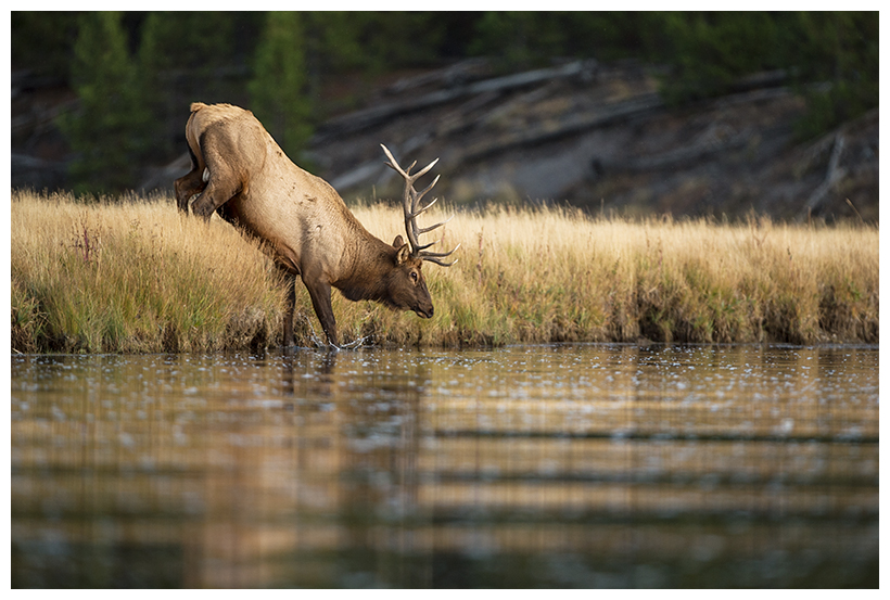 11_20161006-180556_1.jpg 11_20161006-180556_1.jpg