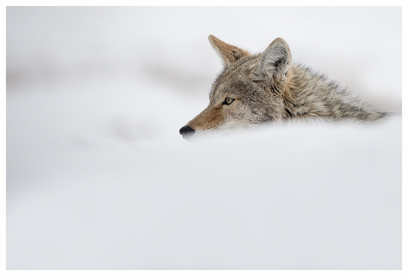 12_20140302-123736_1.jpg 12_20140302-123736_1.jpg