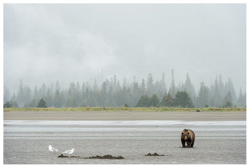 12_20140918-180401_1.jpg 12_20140918-180401_1.jpg