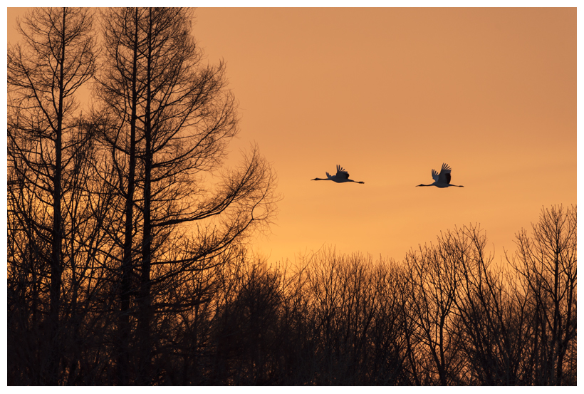 12_20150222-204304_1.jpg 12_20150222-204304_1.jpg