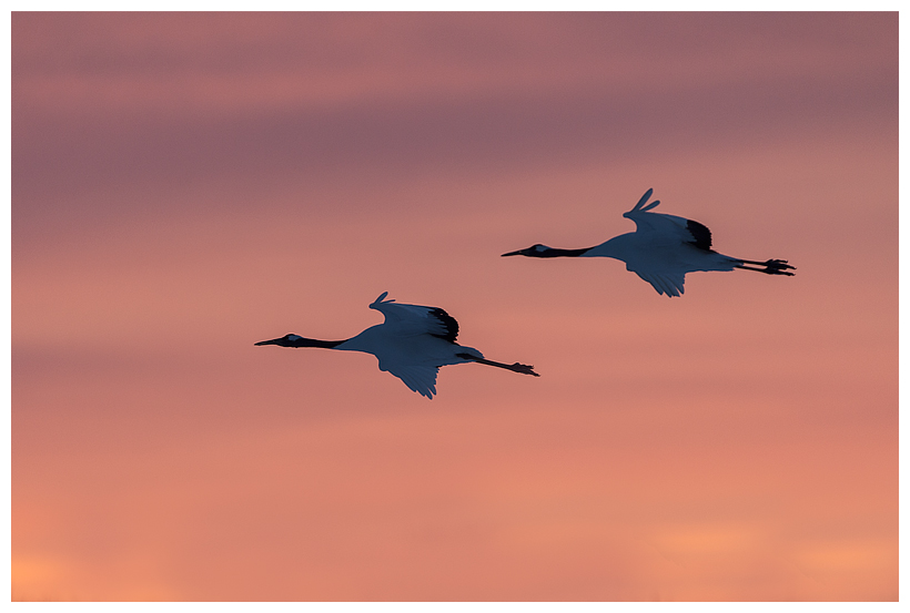 13_20150222-204305_1.jpg 13_20150222-204305_1.jpg