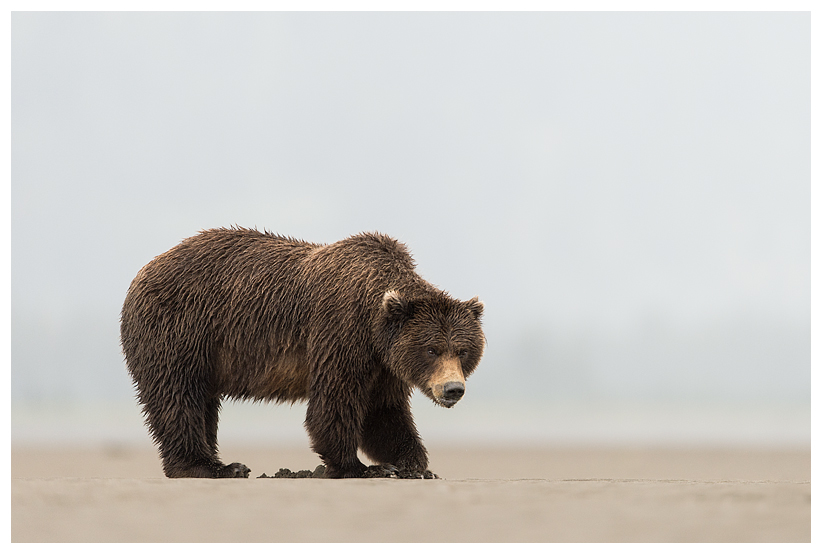 14_20140918-181432_1.jpg 14_20140918-181432_1.jpg