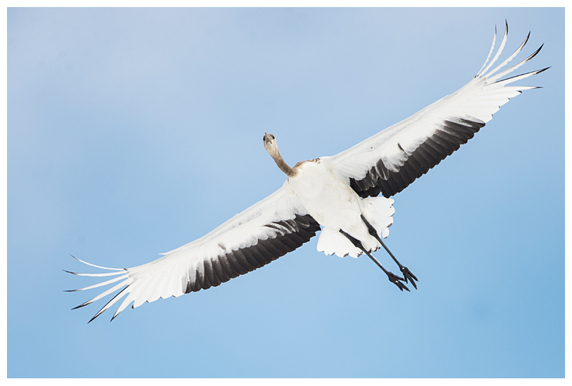 14_20150222-204305_1.jpg 14_20150222-204305_1.jpg