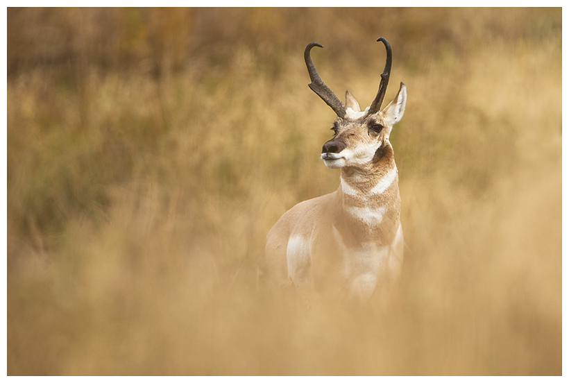 14_20161006-180559_1.jpg 14_20161006-180559_1.jpg