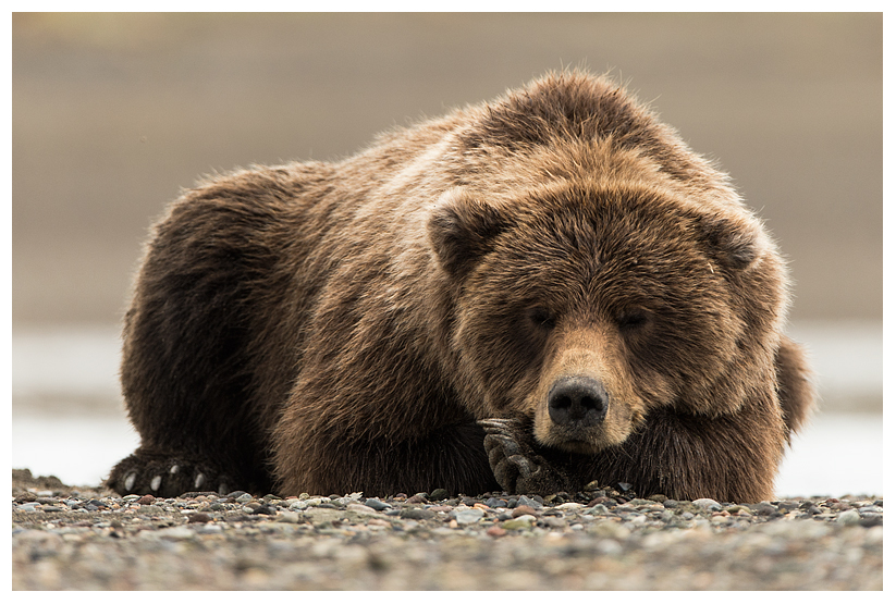 15_20140918-182329_1.jpg 15_20140918-182329_1.jpg