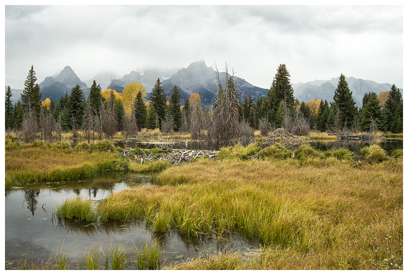 15_20161006-180559_1.jpg 15_20161006-180559_1.jpg