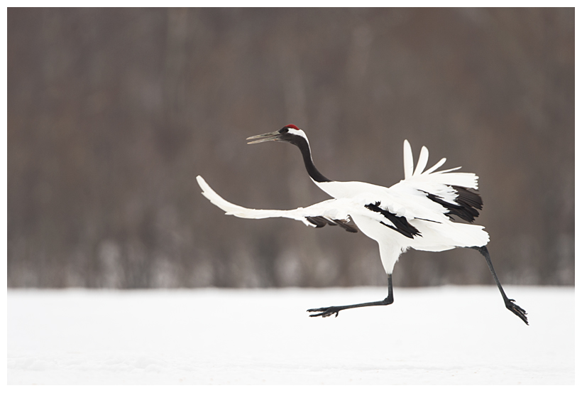 16_20150222-204306_1.jpg 16_20150222-204306_1.jpg