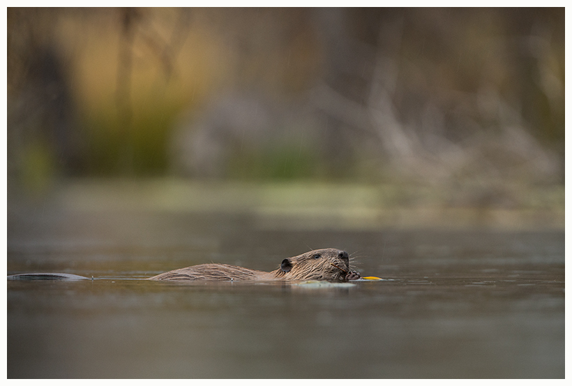 16_20161006-180600_1.jpg 16_20161006-180600_1.jpg