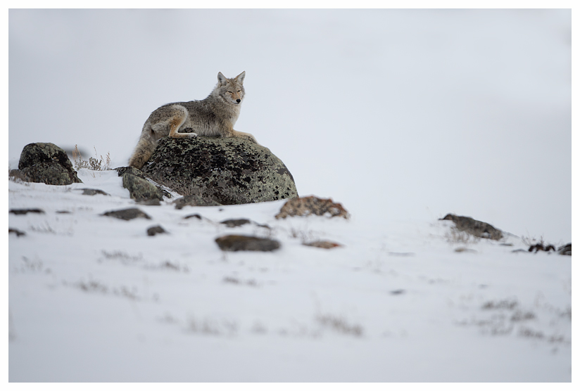 17_20140302-123740_1.jpg 17_20140302-123740_1.jpg