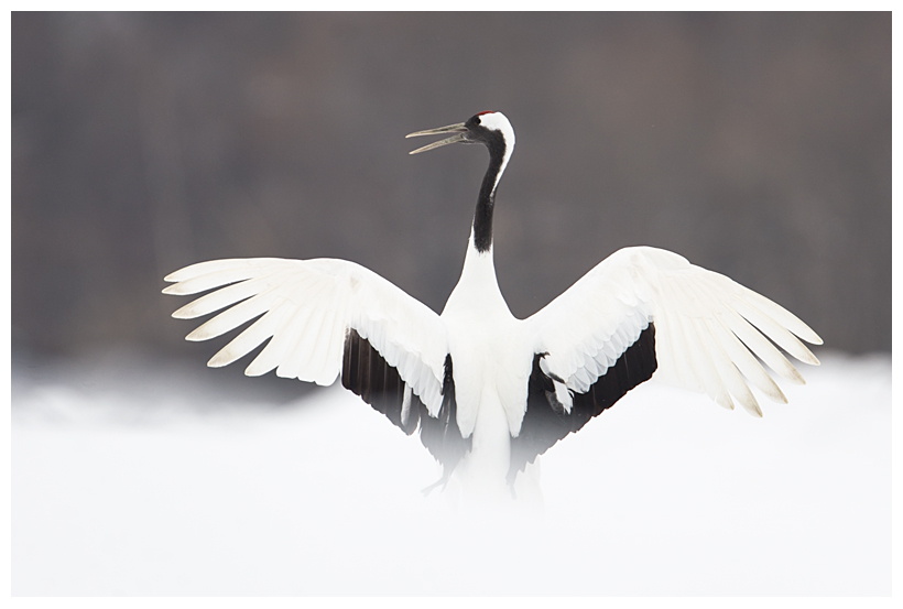 17_20150222-204307_1.jpg 17_20150222-204307_1.jpg