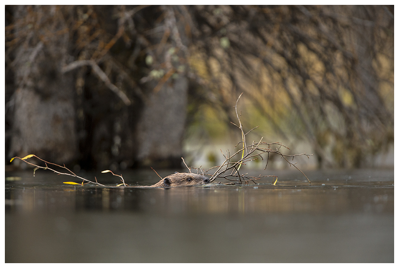 17_20161006-180601_1.jpg 17_20161006-180601_1.jpg