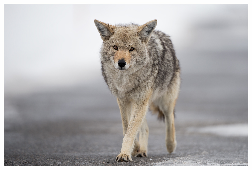 18_20140302-123741_1.jpg 18_20140302-123741_1.jpg