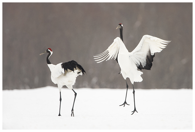 18_20150222-204307_1.jpg 18_20150222-204307_1.jpg