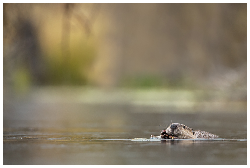 18_20161006-180602_1.jpg 18_20161006-180602_1.jpg