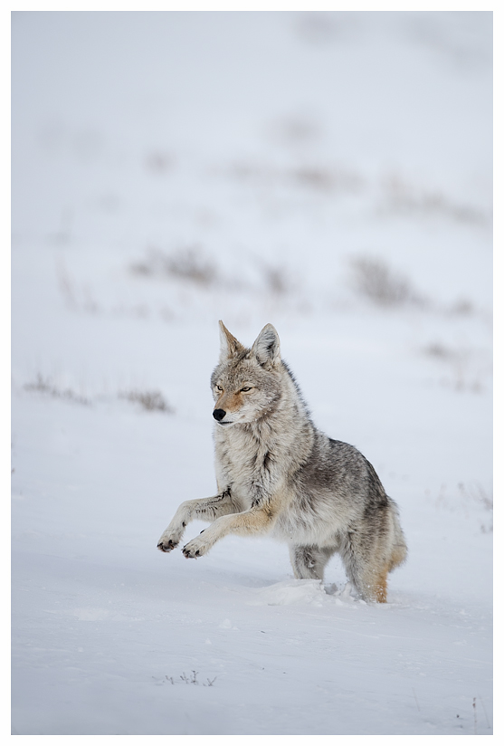 19_20140302-123742_1.jpg 19_20140302-123742_1.jpg