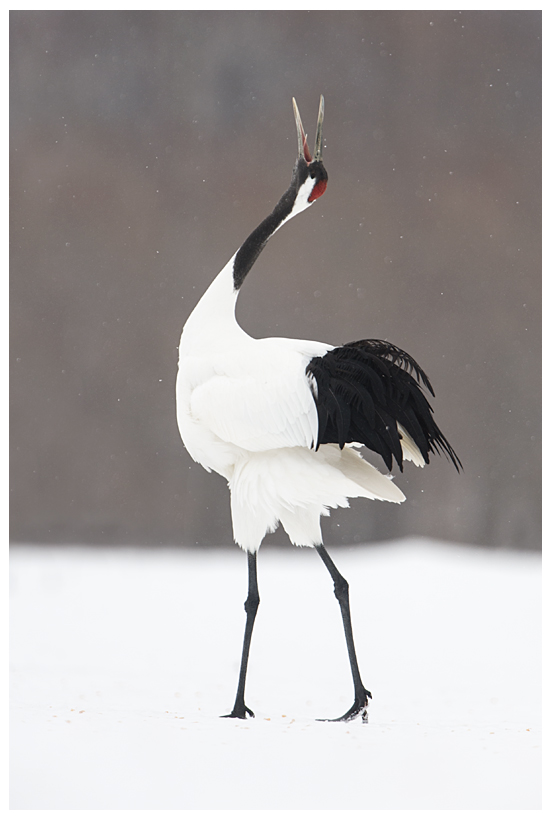 19_20150222-204308_1.jpg 19_20150222-204308_1.jpg