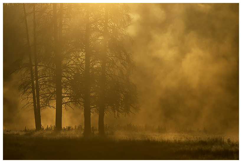 1_20161006-180550_1.jpg 1_20161006-180550_1.jpg