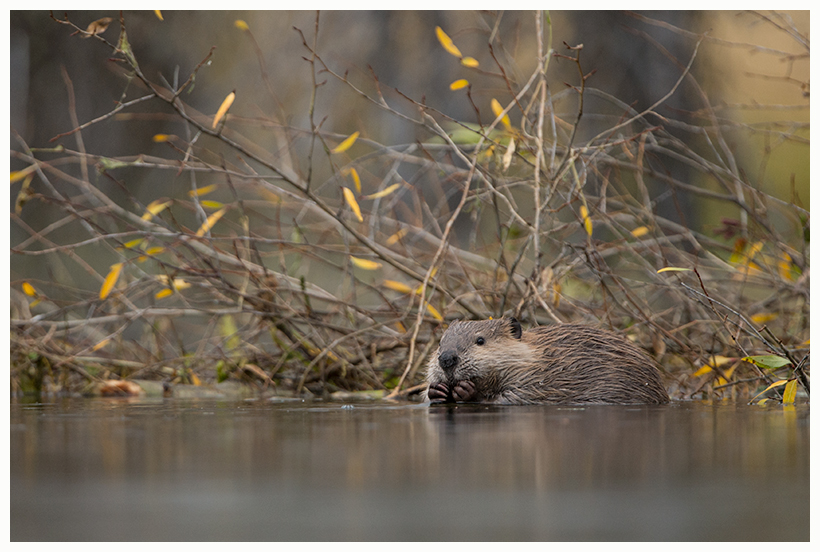 20_20161006-180604_1.jpg 20_20161006-180604_1.jpg