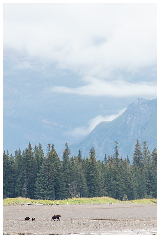 21_20140918-180402_1.jpg 21_20140918-180402_1.jpg