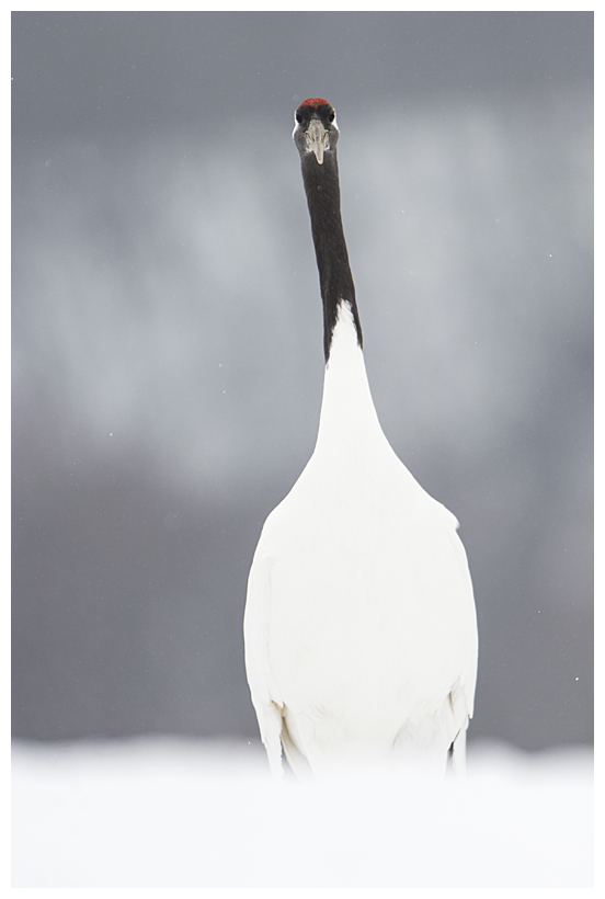 21_20150222-204309_1.jpg 21_20150222-204309_1.jpg