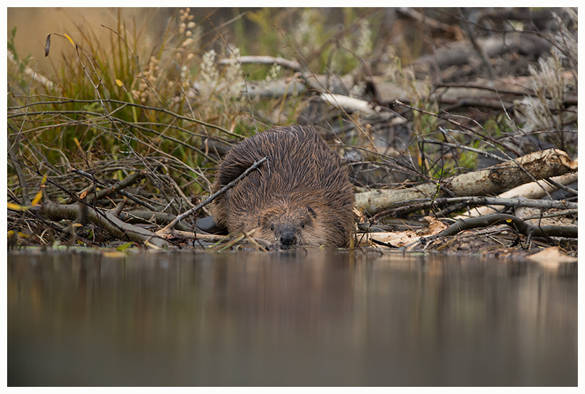 21_20161006-180604_1.jpg 21_20161006-180604_1.jpg