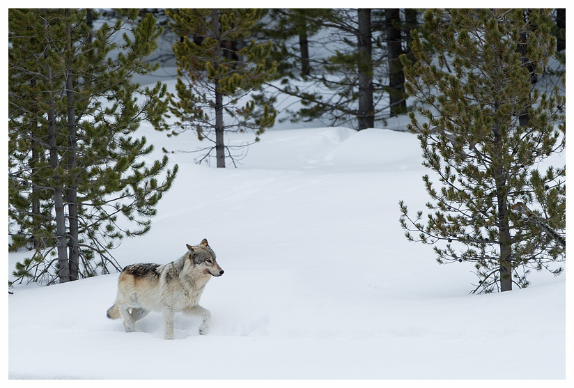 22_20140302-123745_1.jpg 22_20140302-123745_1.jpg