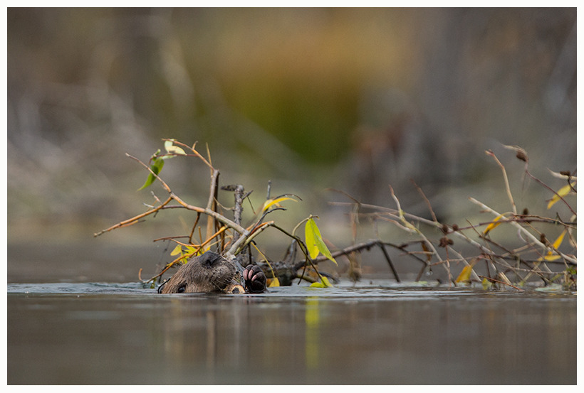 22_20161006-180605_1.jpg 22_20161006-180605_1.jpg