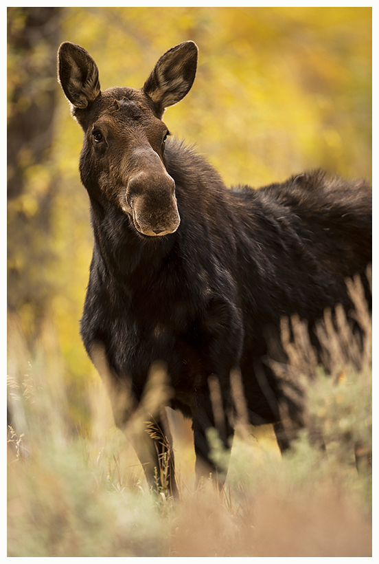 25_20161006-180607_1.jpg 25_20161006-180607_1.jpg