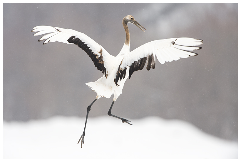 26_20150222-204312_1.jpg 26_20150222-204312_1.jpg