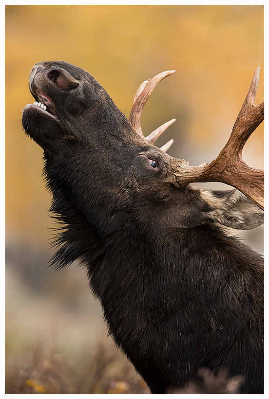 26_20161006-180608_1.jpg 26_20161006-180608_1.jpg