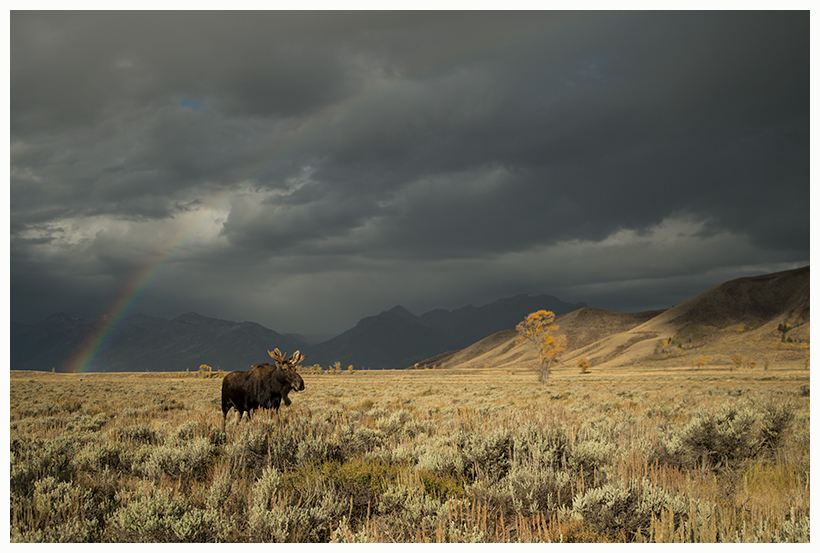 28_20161006-180610_1.jpg 28_20161006-180610_1.jpg