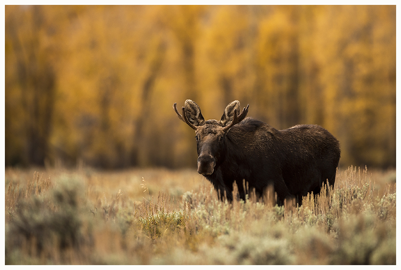 29_20161006-180611_1.jpg 29_20161006-180611_1.jpg