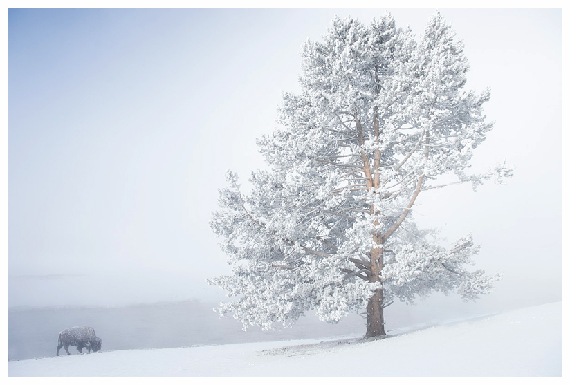 2_20140302-123729_1.jpg 2_20140302-123729_1.jpg