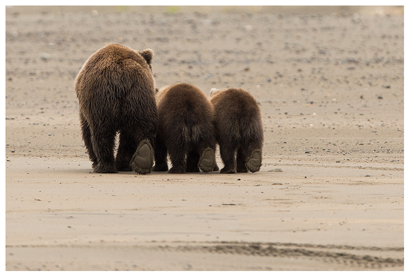 2_20140918-182545_1.jpg 2_20140918-182545_1.jpg