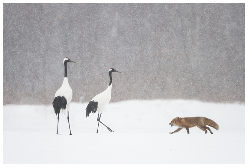 30_20150222-204315_1.jpg 30_20150222-204315_1.jpg