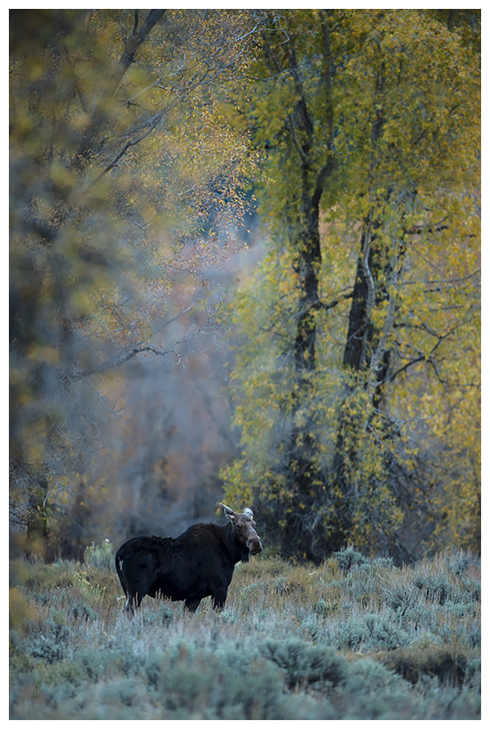 30_20161006-180611_1.jpg 30_20161006-180611_1.jpg