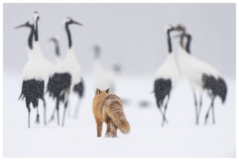 31_20150222-204315_1.jpg 31_20150222-204315_1.jpg