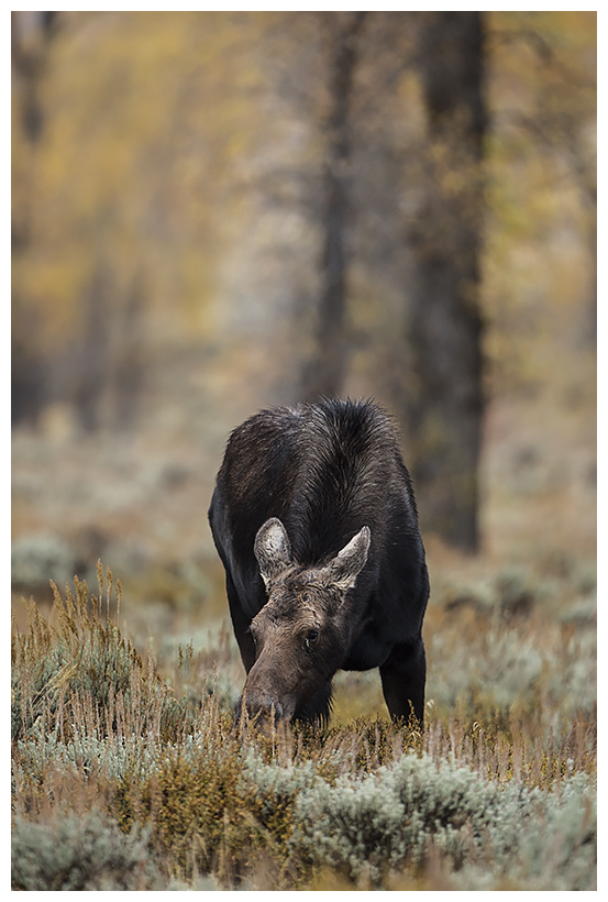 31_20161006-180612_1.jpg 31_20161006-180612_1.jpg