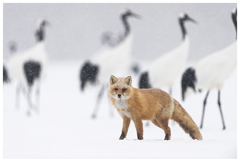 32_20150222-204316_1.jpg 32_20150222-204316_1.jpg