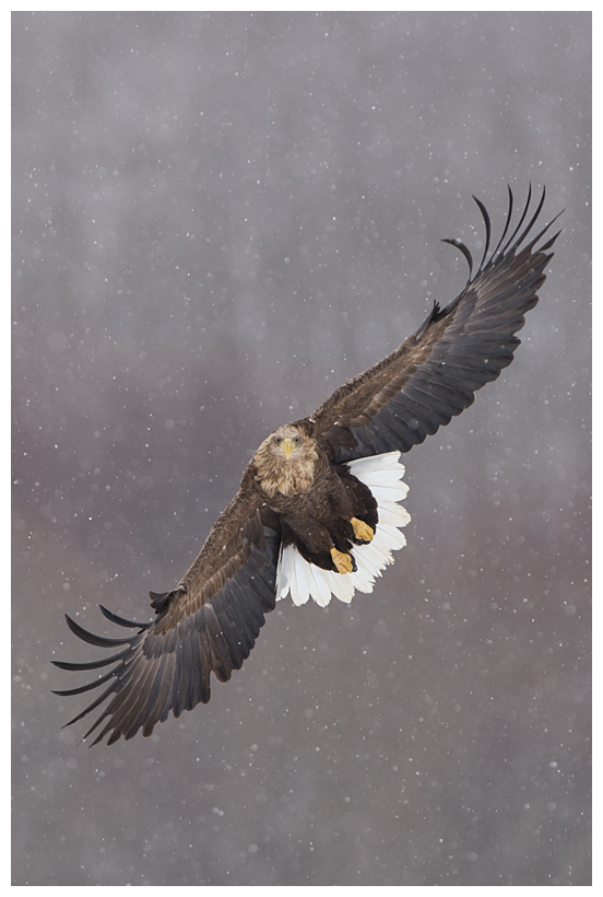 33_20150222-204317_1.jpg 33_20150222-204317_1.jpg