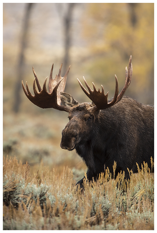 33_20161006-180614_1.jpg 33_20161006-180614_1.jpg