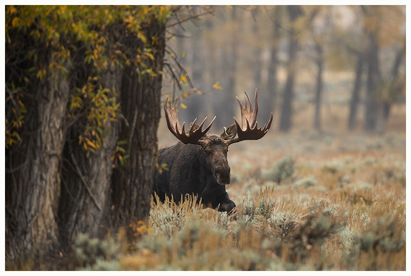 34_20161006-180614_1.jpg 34_20161006-180614_1.jpg