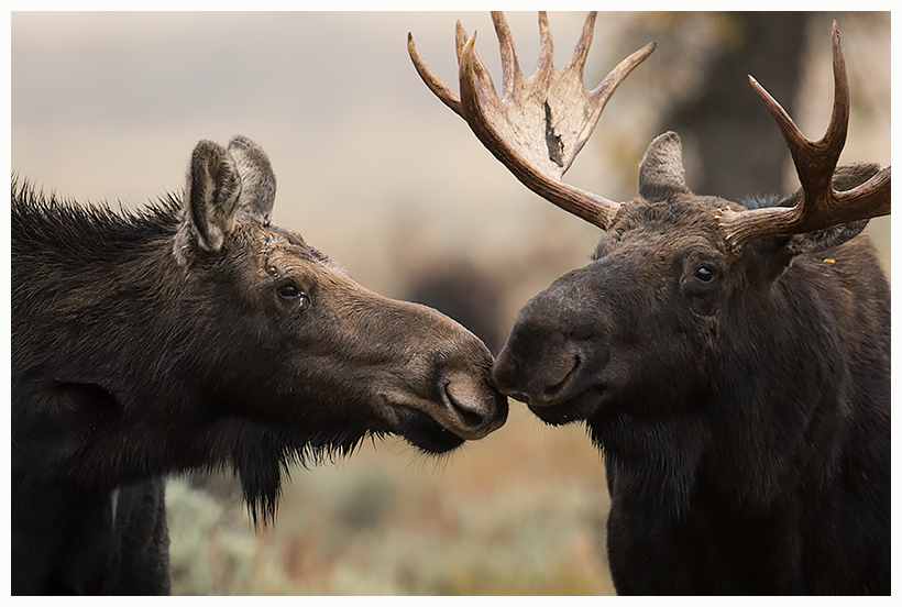 37_20161006-180617_1.jpg 37_20161006-180617_1.jpg