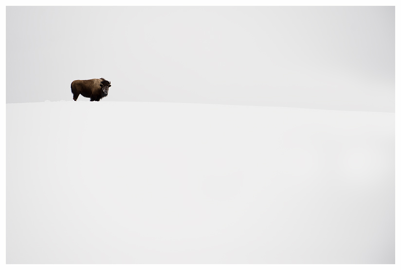 3_20140302-123730_1.jpg 3_20140302-123730_1.jpg