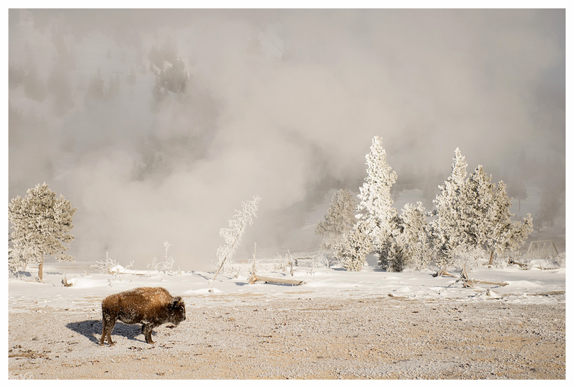 4_20140302-123731_1.jpg 4_20140302-123731_1.jpg