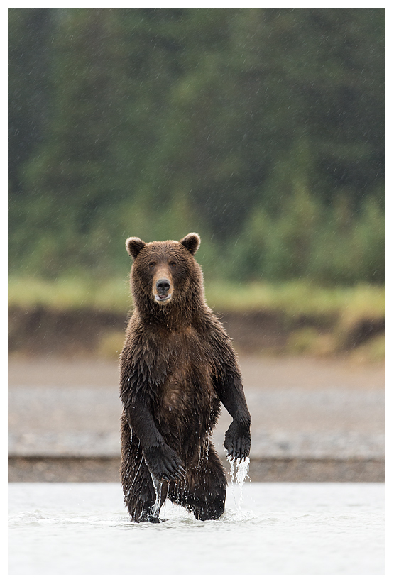 4_20140918-181209_1.jpg 4_20140918-181209_1.jpg