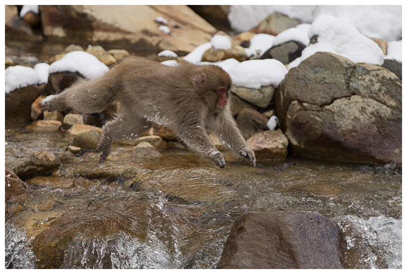 4_20150222-204258_1.jpg 4_20150222-204258_1.jpg